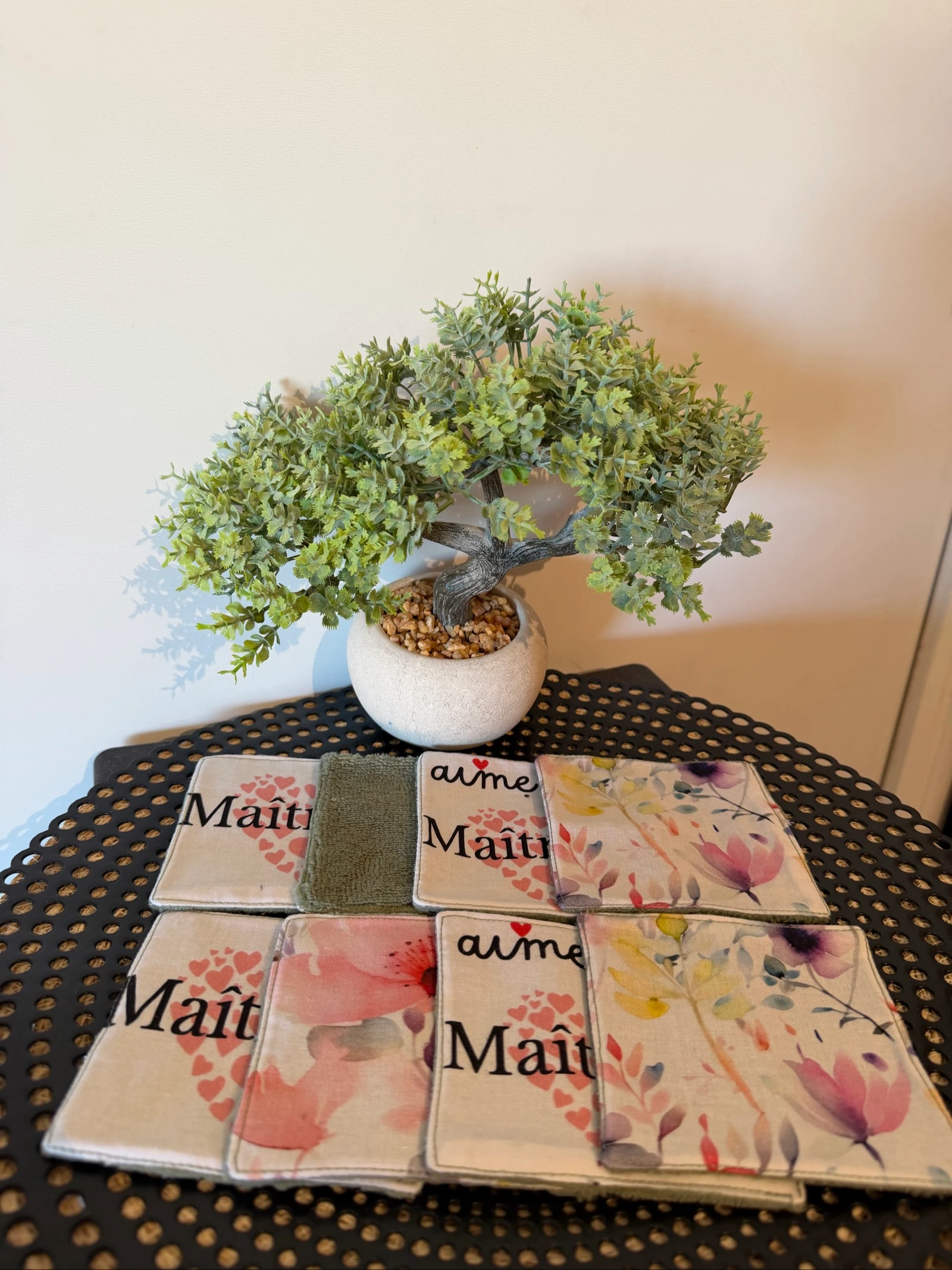 Lingettes maîtresse 